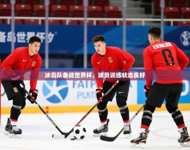 2026乐鱼体育冰岛队备战世界杯，球员训练状态良好