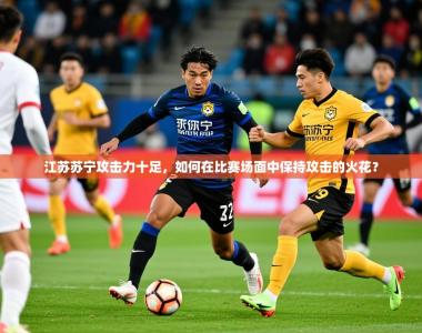 2025乐鱼体育登录网页入口江苏苏宁攻击力十足，如何在比赛场面中保持攻击的火花？