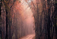 2025乐鱼体育在线网站赵继奥贝克帕获得本赛季首个三双刷新个人记录